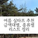 가격대별, 종류별로 여름 필수 템 실타프 추천 리스트