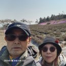 신안군의 섬 4 퍼플섬( 안좌도 반월도-박지도) 2. 이미지