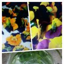 꽃차 소믈리에: 취미반 이미지