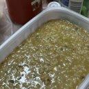 할매전복집 | 계획 부산 기장 해산물 맛집 "5번 친구해녀할매집" 해산물 모둠, 장어구이, 전복죽 모두 먹어본 솔직후기