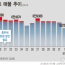 도봉-도봉-서울도봉-2207 이미지