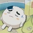 보라2통 이미지