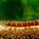 (주)쿨리 이미지