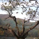 [10월 산행] ♣ 주왕산 절골-가메봉-주방천계곡 (1) 이미지