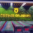 천안농협하나로마트성성점