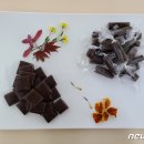 충북농업기술원 마늘연구소 이미지