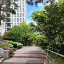 클라비어 음악교습소 이미지