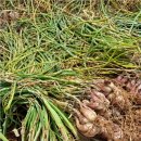 달래네 하우스 이미지