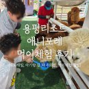 애니매니아 | [평창여행] 용평리조트 '애니포레' 솔직 후기 (모노레일, 먹이체험 꿀팁!)