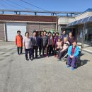 서봉1구 Daum카페