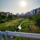 [판교] 제로투나인 고급 스테이크 후기
