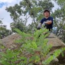 배명덕농장 이미지