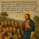 2025년 7월 12일 연중 제14주간 토요일 이미지