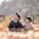 두남자 | 대구돌스냅 삼대애 돌잔치, 야외 촬영이 예쁜 두남자의명작 후기