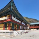 도리사로 이미지