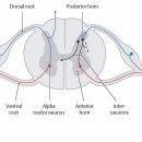 예소담한의원 이미지