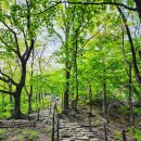 석간수 | 아슬아슬 설악산 흔들바위 추락 할까? 직접 밀어본 후기 (ft. 코스,시간)