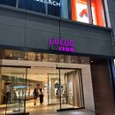 더블유피시(WPC) | [일본여행] 선물추천 Wpc 우양산 : 루쿠아1100 백화점, 양산 종류, 가격, 장우산 기내반입