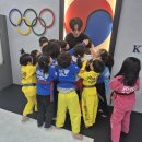 국가대표 라이온 태권도장 이미지