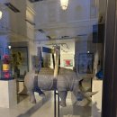 버즈약국 | [프랑스 신혼여행 Ep.2] 파리의 랜드마크 찍먹이라도