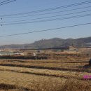 이한응 묘소 이미지