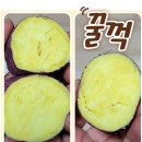 맛있어서 재주문하는 햇밤고구마(특품)으로 보내드려요. 이미지