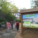 서흥초 이미지