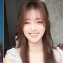 쌈마이 인사이트