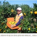 영현농장 이미지