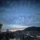 대야투유호N플러스빌골드 이미지