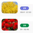 전남미래자동차고등학교 | (특성화고/직업고) 전남미래자동차고등학교 2026 신입생 입학안내, 2026 학교안내