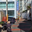 아이들천국(꿈초롱)유치원 | 크리스마스 눈내리는 카페시온, 토끼먹이체험 모래놀이 가능한 아이와 가기 좋은 부산 카페