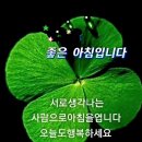 짧은 삶에 긴 여운이 남도록 살자 이미지