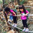 괴안어린이집 이미지