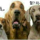 일번지커피 이미지