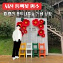 서천 마량리 동백나무 숲 | 충남 서천 가볼만한곳 동백정 마량리동백나무숲 방문 후기 현재 개화 상태