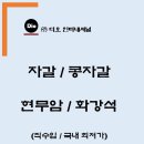 디오인터내셔널 이미지