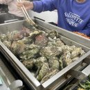 스테이 산마루 | 굴과 함께하는 예산여행(스플라스리솜, 천북굴단지 서광수산, 산마루가든 어죽, 예당호 출렁다리,유양창고)