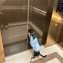 송샘산부인과의원 | 금요일에 만나요 feat 열무