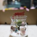 12/2 크리스마스 테라리움 이미지