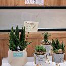 만덕1동-5 | 부산 만덕 만두전골 석불사 맛집 추천 본만두 부산만덕점