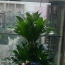 조은당구장 이미지