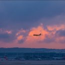 행정사서원사무소 이미지