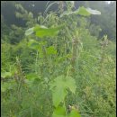 달건너농장 이미지