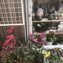 복대시장 이미지