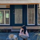 애견프라자 이미지