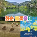 세량제 | 전남 가볼만한곳 광주 근교 화순 봄꽃축제 기본정보 세량지세량제 벚꽃