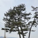 송화1리마을회관 이미지