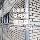 수정수입코너 이미지