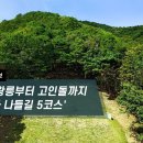 고인돌 이미지